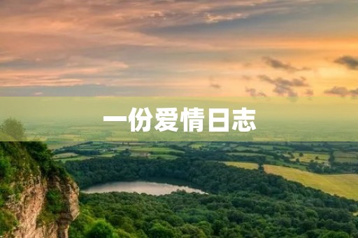 一份爱情日志,感动人心的故事 一份爱情日志,感动人心的故事