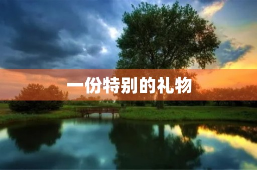 一份特别的礼物