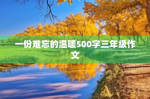一份难忘的温暖500字三年级作文 一份难忘的温暖500字三年级作文