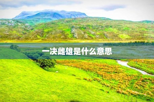 一决雌雄是什么意思 一决雌雄是什么意思