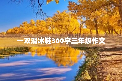 一双滑冰鞋300字三年级作文 一双滑冰鞋300字三年级作文