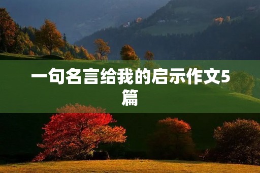 一句名言给我的启示作文5篇