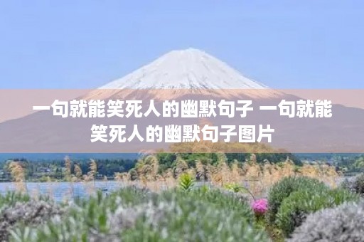 一句就能笑死人的幽默句子 一句就能笑死人的幽默句子图片 一句就能笑死人的幽默句子 一句就能笑死人的幽默句子图片