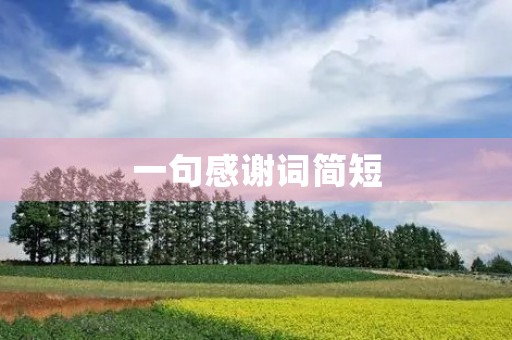 一句感谢词简短(一句感谢词简短幽默) 一句感谢词简短(一句感谢词简短幽默)