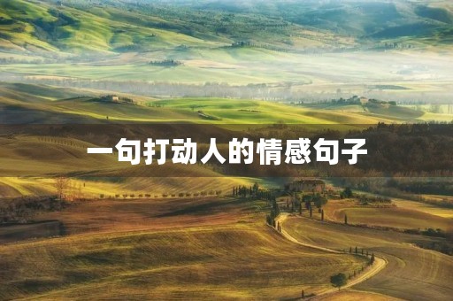 一句打动人的情感句子,最能打动人心的情感话 一句打动人的情感句子,最能打动人心的情感话