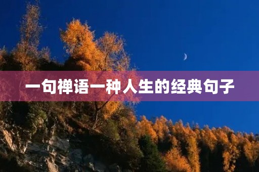 一句禅语一种人生的经典句子，一句禅语一种人生的经典句子图片