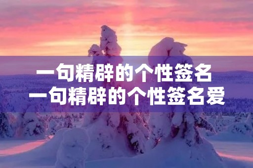 一句精辟的个性签名 一句精辟的个性签名爱世间温柔食物