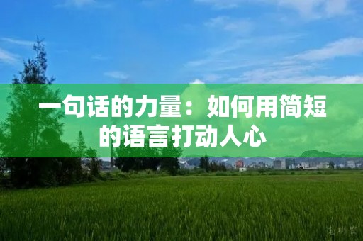 一句话的力量:如何用简短的语言打动人心 一句话的力量:如何用简短的语言打动人心