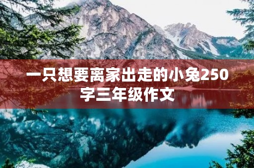 一只想要离家出走的小兔250字三年级作文 一只想要离家出走的小兔250字三年级作文