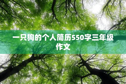 一只狗的个人简历550字三年级作文