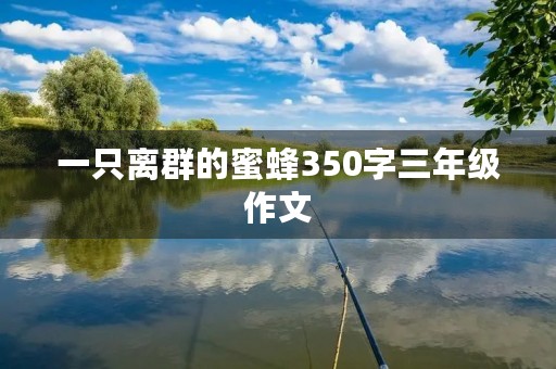 一只离群的蜜蜂350字三年级作文