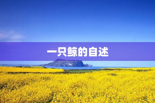 一只鲸的自述 一只鲸的自述