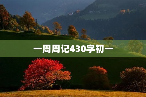 一周周记430字初一