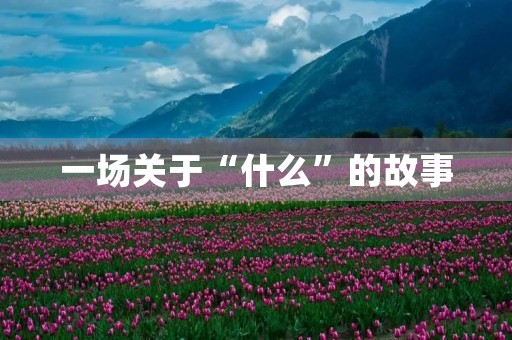 一场关于“什么”的故事 一场关于“什么”的故事