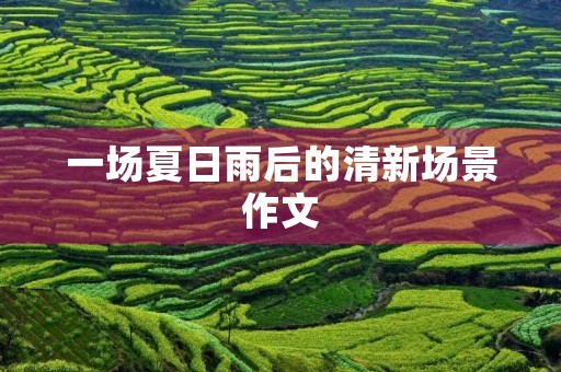 一场夏日雨后的清新场景作文 一场夏日雨后的清新场景作文
