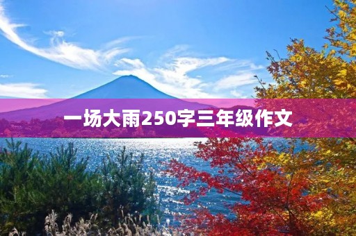 一场大雨250字三年级作文 一场大雨250字三年级作文