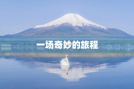 一场奇妙的旅程 一场奇妙的旅程
