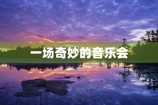 一场奇妙的音乐会