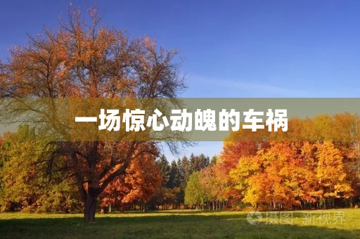一场惊心动魄的车祸