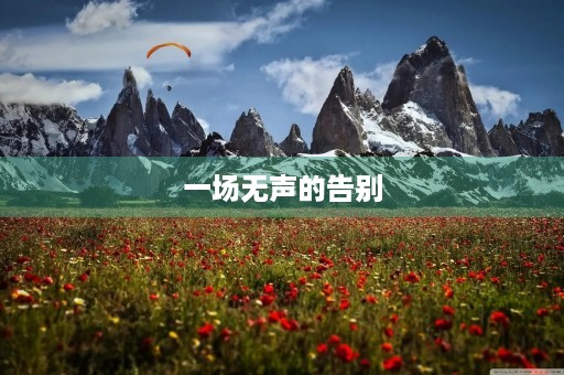 一场无声的告别，我们的爱恋随风而逝