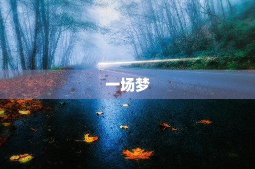 一场梦 一场梦