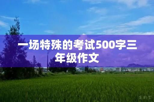 一场特殊的考试500字三年级作文