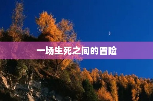 一场生死之间的冒险 一场生死之间的冒险