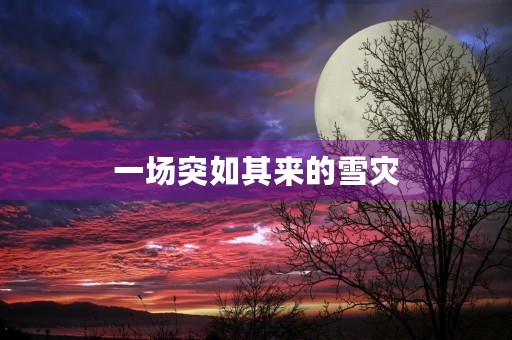 一场突如其来的雪灾