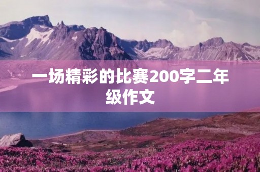 一场精彩的比赛200字二年级作文