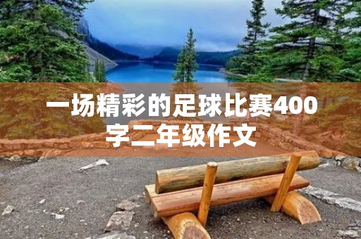一场精彩的足球比赛400字二年级作文