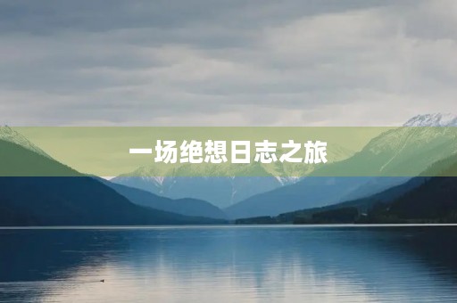 一场绝想日志之旅