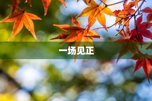 一场见正,美好的初二之旅 一场见正,美好的初二之旅