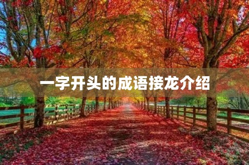 一字开头的成语接龙介绍
