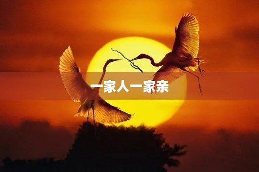 一家人一家亲,共享幸福时光 一家人一家亲,共享幸福时光