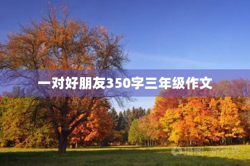 一对好朋友350字三年级作文