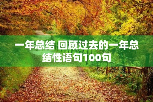 一年总结 回顾过去的一年总结性语句100句 一年总结 回顾过去的一年总结性语句100句
