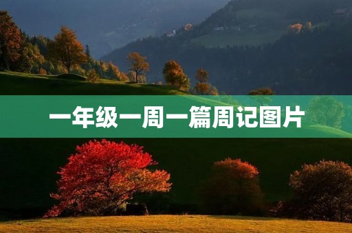 一年级一周一篇周记图片 一年级一周一篇周记图片