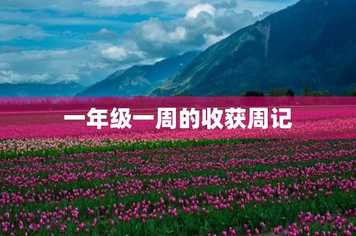 一年级一周的收获周记