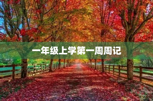 一年级上学第一周周记 一年级上学第一周周记