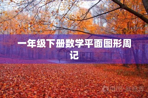 一年级下册数学平面图形周记