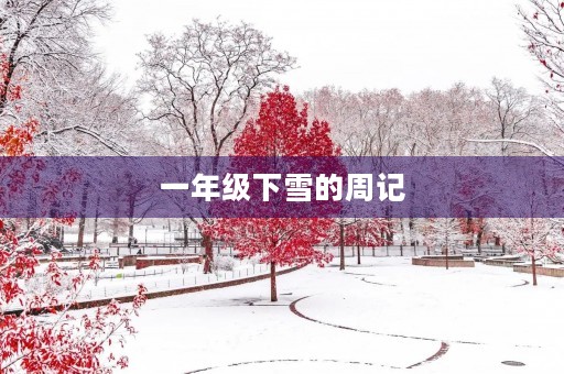 一年级下雪的周记 一年级下雪的周记