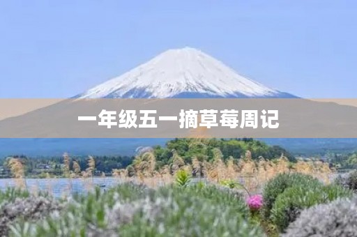 一年级五一摘草莓周记 一年级五一摘草莓周记