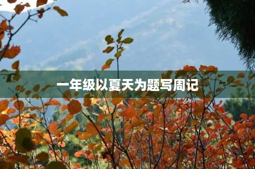 一年级以夏天为题写周记