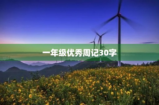 一年级优秀周记30字 一年级优秀周记30字