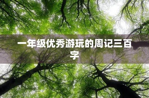 一年级优秀游玩的周记三百字 一年级优秀游玩的周记三百字