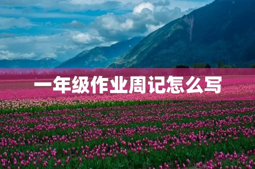 一年级作业周记怎么写
