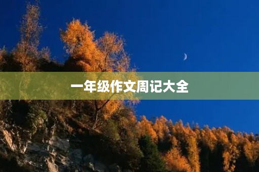 一年级作文周记大全 一年级作文周记大全