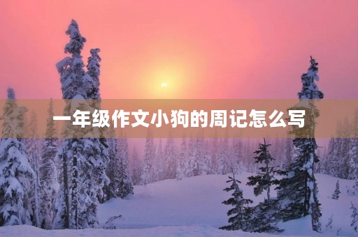 一年级作文小狗的周记怎么写