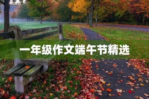 一年级作文端午节精选