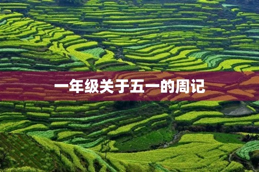 一年级关于五一的周记 一年级关于五一的周记